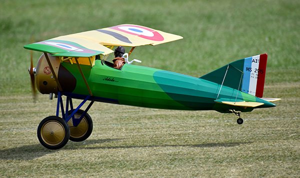 Green and yellow model biplane on grass, featuring roundels and a striped tail.
