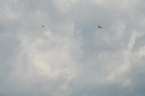 George Pritchett on the hunt for a cut in 2948.