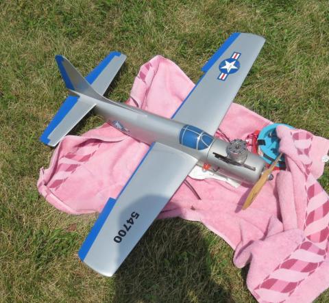 Model airplane with blue accents on grass, resting on a pink towel.