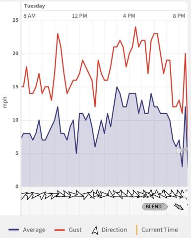 Wind speed graph with average and gust lines in red and blue.
