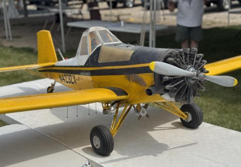 Yellow model airplane with black details, on display outdoors.