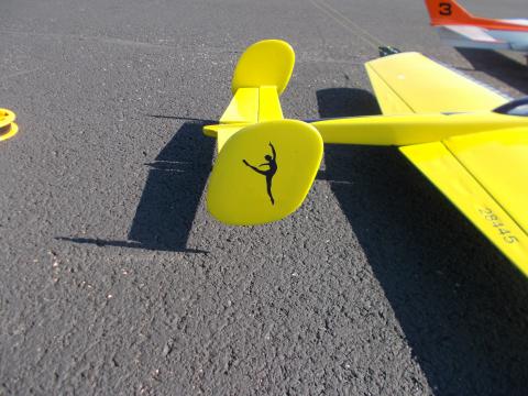 Along with a silhouette of a Ballerina.