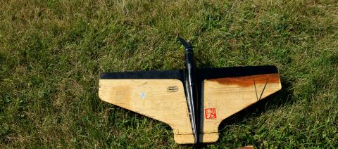 Photo by Warren Gregory.