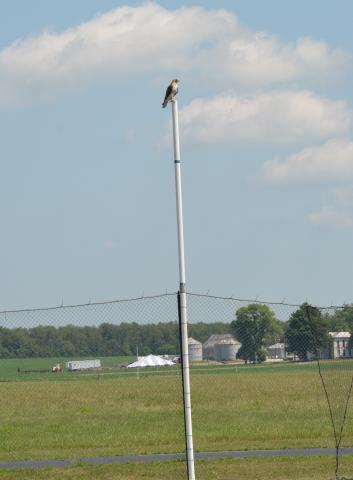 Photo by Warren Gregory.