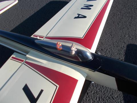 Lady and the Tramp go for a ride.