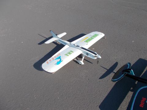 Scot Condon's Dolphin.